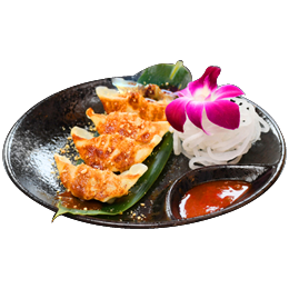 Raviolis aux légumes